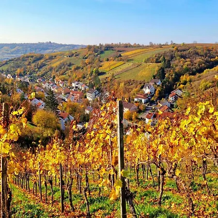 Apartment Große Schöne Mit Kleinem Garten Im Weinort
