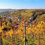 Appartement Grosse Schoene Mit Kleinem Garten Im Weinort