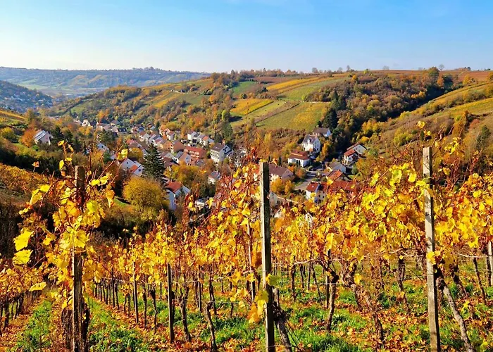 Appartamento Grosse Schoene Mit Kleinem Garten Im Weinort